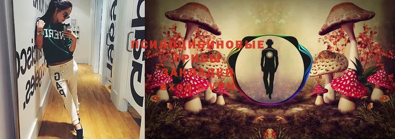 Галлюциногенные грибы MAGIC MUSHROOMS  shop наркотические препараты  Углегорск 