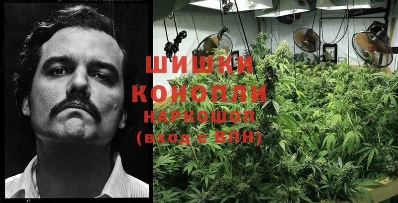 купить наркотик  Углегорск  это состав  Каннабис THC 21% 